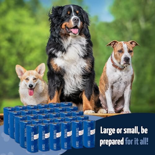 Reli. Biodegradable Dog Poop Bags Rolls (600 Pack, 40 Rolls) | Blue | Leash Clip Holder Included | 9"x13" Poop Bags for Dogs | Unscented, Leak Proof Oxobiodegradable Pet Waste Eco-Friendly