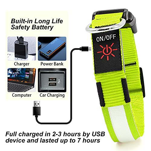 YFbrite Ultra Light Adjustable LED Dog Collar, Light up Dog Collars Rechargeable Glowing in The Dark Collars Visiblity & Safety for Small, Medium, Large Dogs (Green, Small) - color: Green, size: Small