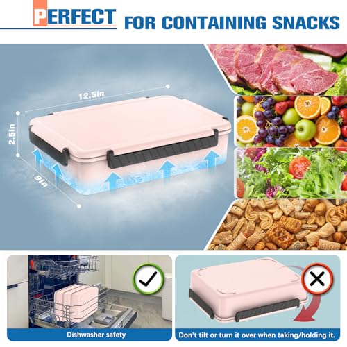 Chilled Portable Snackle Box Container with Ice Pack, Beach Essentials for Summer, Divided Serving Tray with Insulated Bag, Snack Containers for Road Trip Charcuterie Snack Picnic, Peony - color: Peony