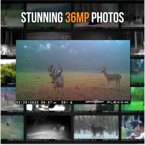 SPYPOINT Flex G-36 Camo - Outdoor Cellular Trail Camera,1080p Video with Sound, 36 Megapixels, 0.3S Trigger Speed, 100 Flash and Detection Range with Improved Battery Life - size: Pack of 1, style: FLEX-G36 CAMO