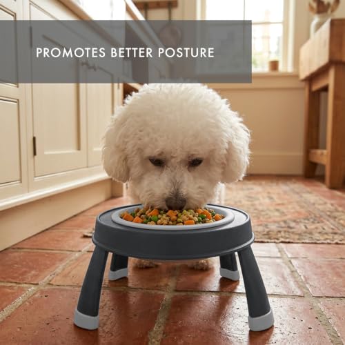 Dexas Pets Elevated Pet Feeder, Small, 1.5 Cup Capacity, Light Gray, Raised Pet Food and Water Bowl - color: Light Gray, size: Small/1.5 Cup Capacity