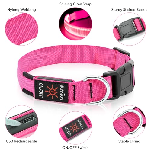 Illumifun LED Dog Collar, USB Rechargeable Light Up Dog Collars, Waterproof Adjustable Safety Collar Light for Small Dogs Walking at Night (Pink, Small) - color: Pink, size: Small