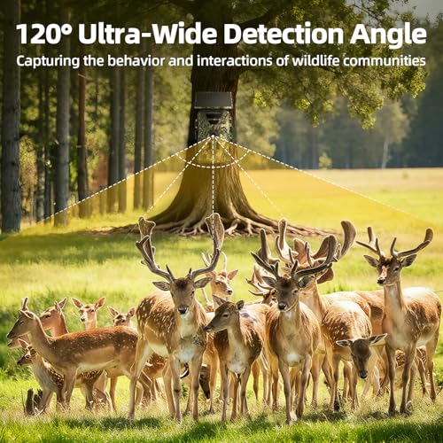 BoxLegend Solar Trail Camera WiFi 4K 60MP with 64GB Memory Card Game Cameras with Night Vision Motion Activated Waterproof Trigger Speed Trail Cam Wide Angle Wildlife Camera for Backyard and Outdoor | Night Vision, Motion Activated, Waterproof, Trigger Sp