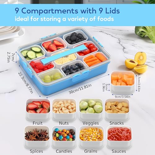 Snackle Box Container for Adults with 9 Compartment, Divided Serving Tray Snack Box Containers with Lid and Handle, Charcuterie Boxes Portable Snack Platter for Fruit Veggie Party Travel, Blue - color: Blue