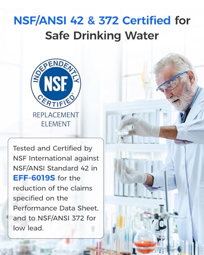 Waterdrop WD-F19C Water Filter Replacement for GE® RPWFE®, 2 Pack