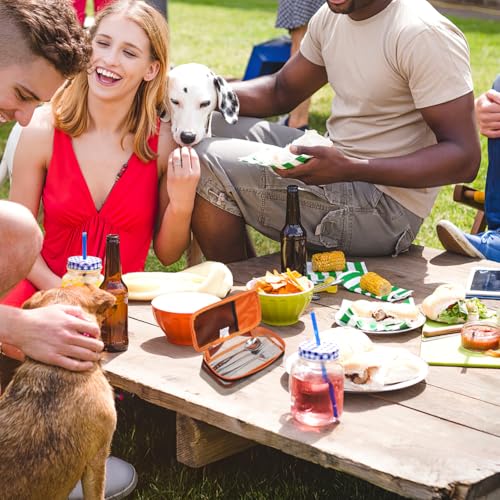 DOITOOL Portable Bbq Storage Bag 9.44X4.72X1.96In Lightweight Cookware Organizer Pouch with Smooth Zipper for Outdoor Camping Barbecue and Hiking