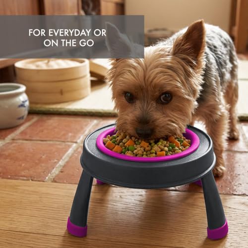 Dexas Pets Elevated Pet Feeder, Small, 1.5 Cup Capacity, Fuchsia, Raised Pet Food and Water Bowl - color: Fuchsia, size: Small/1.5 Cup Capacity