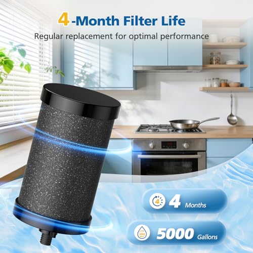 2 Pack 2387 Pro Filter Replacement for Alexapure 2387 Pro Water Filter