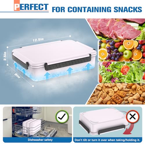 Chilled Portable Snackle Box Container with Ice Pack, Beach Essentials for Summer, Divided Serving Tray with Insulated Bag for 8+ Hrs Cooling, Snack Containers for Road Trip Charcuterie Snack Picnic - color: Orchid
