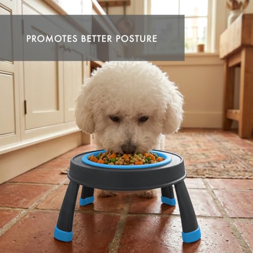 Dexas Pets Elevated Pet Feeder, Small, 1.5 Cup Capacity, Blue, Raised Pet Food and Water Bowl - color: Blue, size: Small/1.5 Cup Capacity
