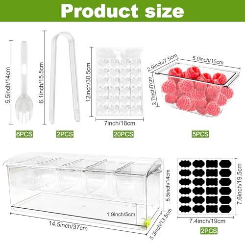 Ice Chilled Condiment Server Caddy, Bar Fruit Caddy with Lid and 5 Removable Compartments, Plastic Storage Food Container Clear Ice Condiment Serving Tray for Party, Toppings Bar Container