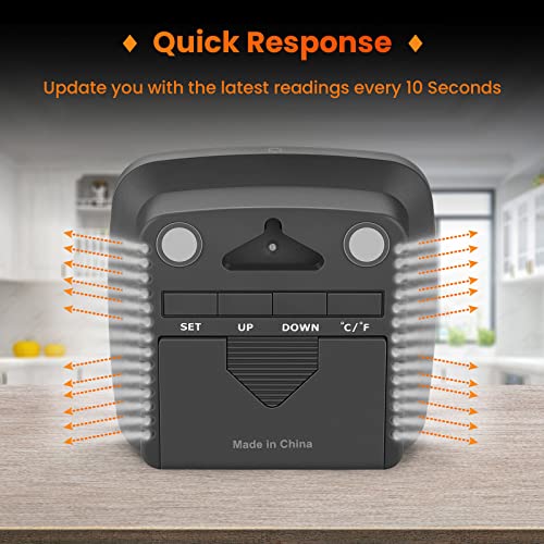 SMARTRO SC42 Professional Digital Hygrometer Indoor Room Thermometer
