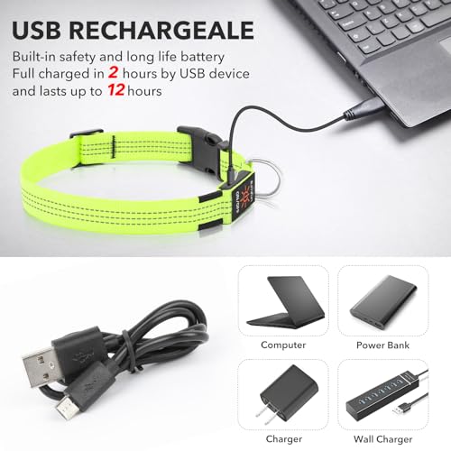 Illumifun LED Dog Collar, Rechargeable Light Up Collars, Reflective Safety Collar Light for Nighttime Walking Camping (GreenⅢ, Medium) - color: GreenⅢ, size: Medium