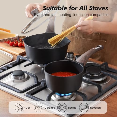 SENSARTE 2.0 & 3.0 Quart Sauce Pan Sets with Lid, Cooking Pots Set, Nonstick Saucepan Set with Pour Spout, Small Kitchen Pot, Non toxic Saucepot, Induction Comptable, Easy to Clean, PFOA Free - color: Classic Black, size: 2.0 + 3.0 Quarts