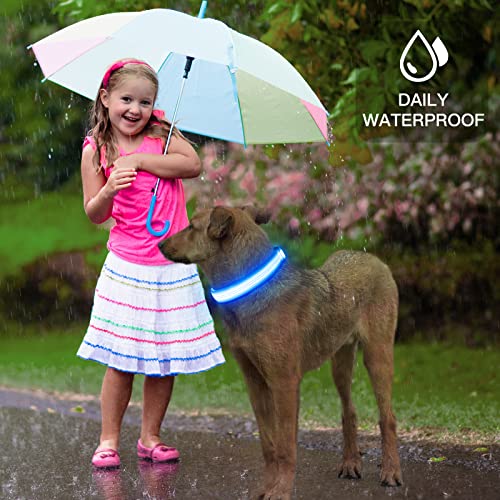 YFbrite Light up Dog Collar, USB Rechargeable LED Puppy Collar Super Bright Adjustable Glowing Dog Lights for Night Walking (Design-2- Blue, Large) - color: Version 2.0-- Blue, size: Large