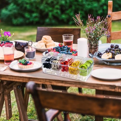 Chilled Garnish Tray with 5 Small Removable Containers and Compartments | Ice Chilled Condiment Organizer Server, Clear Garnish Serving Platter for Fruit, Salad, Food, Outdoor Events, Picnics - size: 1 Pack