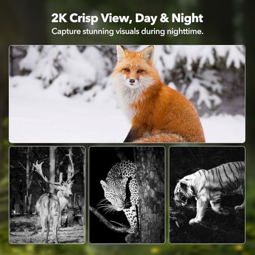 4G LTE Cellular Trail Camera, Built-in SIM Card, Solar Powered Game Camera | 2K Night Vision, No WiFi Needed, 360° Live Streaming, Motion Activated, Remote Access, for Wildlife&Hunting, IP65 Waterproof