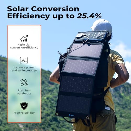 BigBlue 28W Solar Panel Charger with Digital Ammeter, USB-A/USB-C Outputs - color: Black