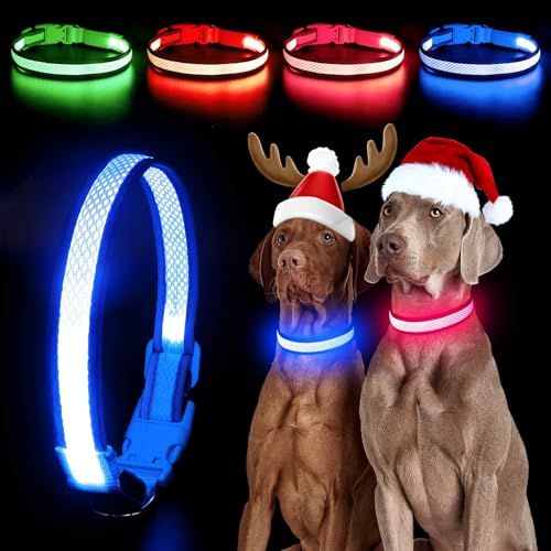 YFbrite Light up Dog Collar, USB Rechargeable LED Puppy Collar Super Bright Adjustable Glowing Dog Lights for Night Walking (Blue, Small) - color: Blue, size: Small