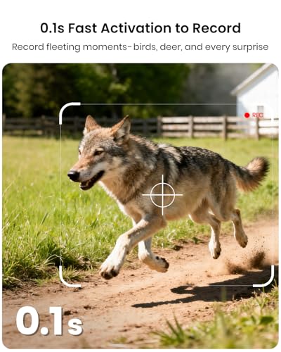 Misstech 4K UHD Solar Trail Camera, 0.1s Motion-Activated Wildlife Record | 64MP/4K Clear Night Vision for Outdoor & Game, No Monthly Fee, App Control, Local Storage, IP66 Weatherproof Deer Camera