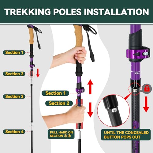 Carbon Fiber Trekking Poles, Lightweight Hiking Sticks with Cork Grip 2 Pcs - color: Purple