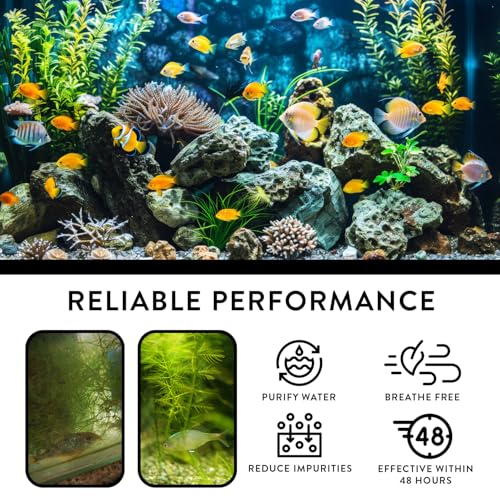 Water Purification Tablets 2 Pack, Aquarium Water Conditioner for Fish and Aquatic Plant, Effectively Removing Odors and Impurities for Aquarium