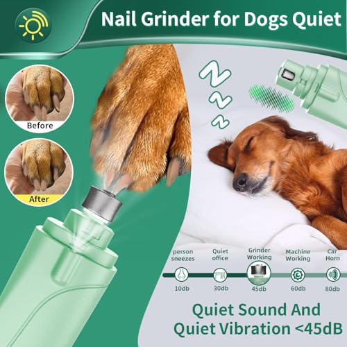 2 in 1 Dog Nail Clippers & Cat Nail Clippers Trimmers for Large Medium Small Dogs Cats Claw Trimmer Quick Sensor and Safety Guard USB Rechargeable Dogs Nail Trimmer with Catcher & 2 LED Lights - color: Green