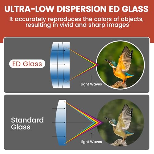 ED 10x42 Professional Binoculars for Adults High Powered, Fully Multi-Coated Lenses, Super Bright BAK4 Prism Waterproof Compact Binoculars for Bird Watching Hunting Stargazing Hiking Cruise Travel - color: Black 10x42