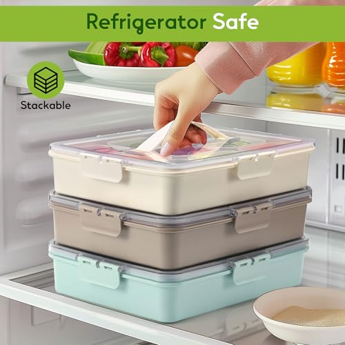 Snackle Box Container for Adults with 9 Compartment, Divided Serving Tray Snack Box Containers with Lid and Handle, Charcuterie Boxes Portable Snack Platter for Fruit Veggie Party Travel, White - color: White
