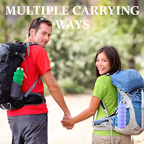 Lallisa 4 Pcs Collapsible Water Bottles 17 oz Reusable Silicone Foldable Travel Water Bottle Portable Leak Proof Sports Water Bottles for Gym Camping Hiking (Blue, Purple, Gray, Green) - color: Blue, Purple, Gray, Green