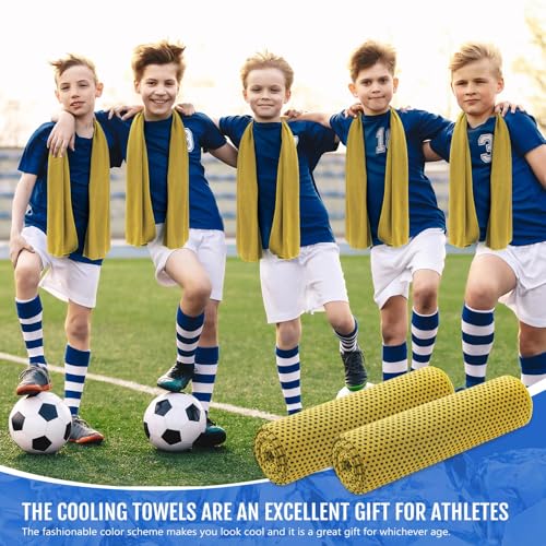 Hosuly 6 Pack Cooling Towel 40" X 12", Cool Neck Wrap,Yellow | Cooling Rag for Neck and Face, Ice Breathable Chilly Towels, Portable Bag, Quick Cooling for Hot Weather - color: Yellow