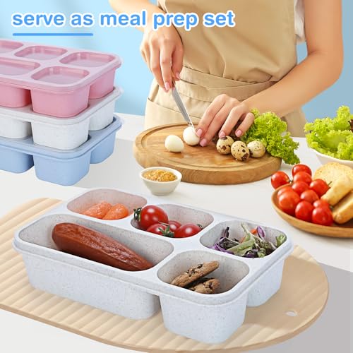 Rinwoc Bento Box Adult [Portion Size], 3 Pack Snack Containers with 5 Compartments for Meal Prep & On-the-Go [Work, Travel], Lunchable Container Reusable and BPA-Free - size: Large