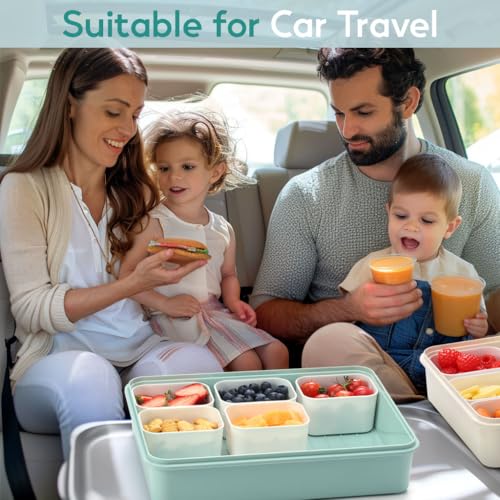 Snackle Box Container for Adults with 9 Compartment, Divided Serving Tray Snack Box Containers with Lid and Handle, Charcuterie Boxes Portable Snack Platter for Fruit Veggie Party Travel, Green - color: Green