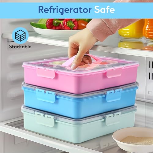 Snackle Box Container for Adults with 9 Compartment, Divided Serving Tray Snack Box Containers with Lid and Handle, Charcuterie Boxes Portable Snack Platter for Fruit Veggie Party Travel, Blue - color: Blue