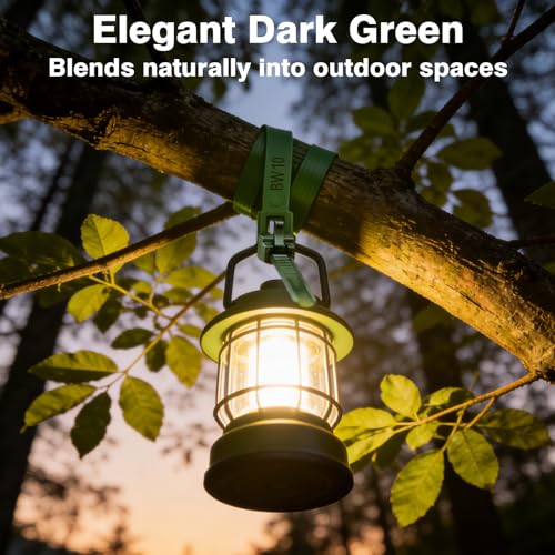 100 Pack Reusable Zip Ties 24 Inch Extra Long Cable Ties Dark Green | Reusable Trigger Release / Industrial Nylon / UV Resistant / Non-Slip Self-Locking / Round Ends No Hurt / Extra Long 24" - size: 24 inch