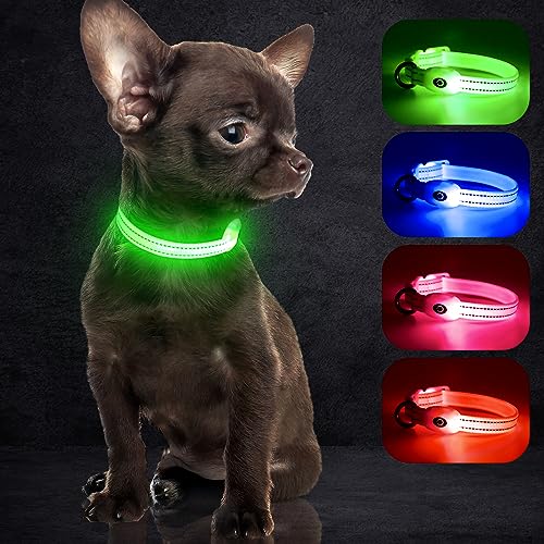 YFbrite Light up Dog Collars, USB Rechargeable LED Dog Collar, Adjustable LED Cat Collar, Durable Flashing Collar for Cats, Puppy, Small, Medium, Large Dogs (Green, XS) - color: Green, size: XS