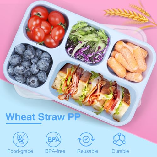 Rinwoc Bento Box Adult [Portion Size], 3 Pack Snack Containers with 5 Compartments for Meal Prep & On-the-Go [Work, Travel], Lunchable Container Reusable and BPA-Free - size: Large