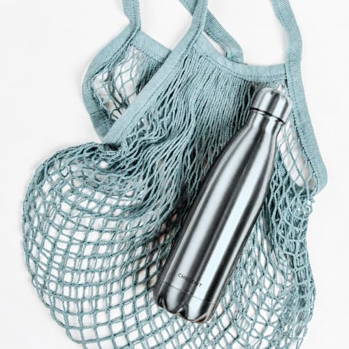 CHILLOUT LIFE 25oz Insulated Stainless Steel Water Bottle, Leak Proof - color: Stainless Steel