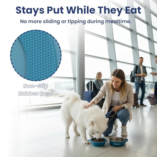 PawsPik 2-in-1 Travel Dog & Cat Bowl – Collapsible BPA-Free Silicone - color: Midnight Summit Blue
