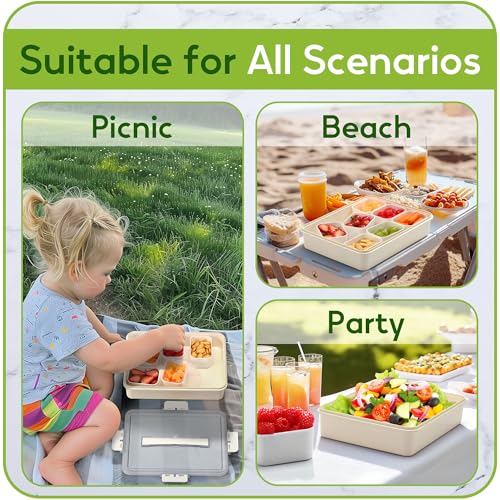 Snackle Box Container for Adults with 9 Compartment, Divided Serving Tray Snack Box Containers with Lid and Handle, Charcuterie Boxes Portable Snack Platter for Fruit Veggie Party Travel, White - color: White