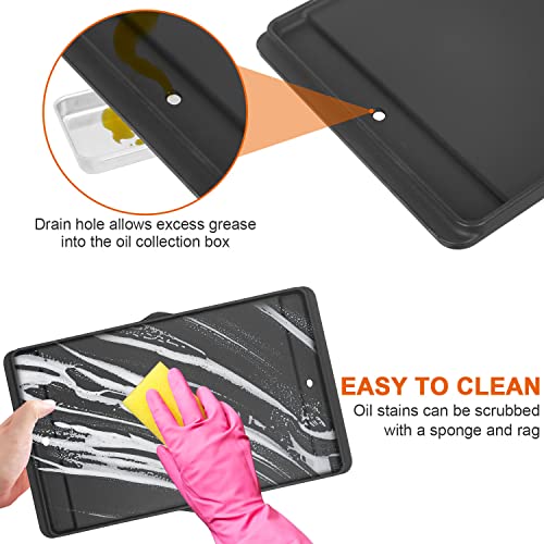 DELSbbq 7566 Cast Iron Griddle for Weber Genesis 300 (Not for Genesis II) | Reversible Griddle for E-310/320/330 S-310/320/330 EP-310/320/330 CEP-310, Dual-Sided Plate, Sunken Grease Drain Channels - size: 19.4" x 12.5" x 2"