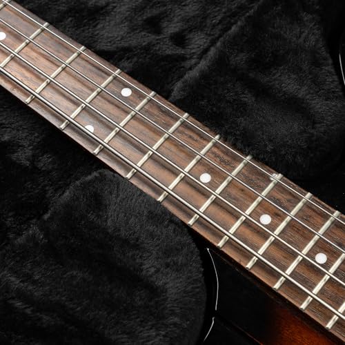 Gator Cases Hard-Shell Wood Case for Thunderbird Bass Guitars (GWE-TBIRD-BASS) - style: Thunderbird Bass