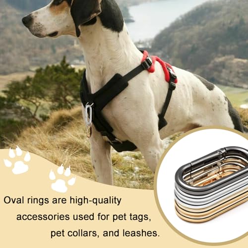4pcs 2" Oval Spring Keyrings, Large Keychain Carabiner Clips, Spring O Rings Buckles for Purse Clip, Bag Strap Clasp, Backpack Charms, Dog Tag, Car Keyring Accessories (Silver) - color: 2" Length Silver 4pcs