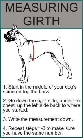 Doggie Stylz Nylon Service Dog Harness, 2 Reflective Removable Patches - size: Fits Girth 20-25"