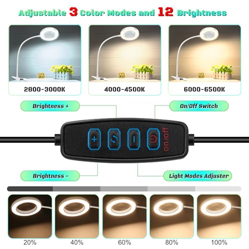 10X Magnifying Glass with Light, Clip on Magnifier with Light,LED Desk Lamp | Adjustable Gooseneck, 3 Color Modes & 12 Brightness, Table Magnifying Lamp for Bed Book Reading Work Crafts Painting Repair - color: White