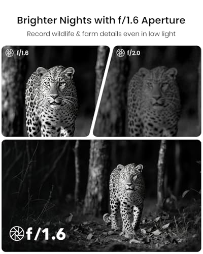 Misstech 4K UHD Solar Trail Camera, 0.1s Motion-Activated Wildlife Record | 64MP/4K Clear Night Vision for Outdoor & Game, No Monthly Fee, App Control, Local Storage, IP66 Weatherproof Deer Camera