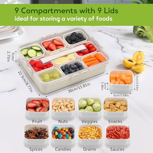 Snackle Box Container for Adults with 9 Compartment, Divided Serving Tray Snack Box Containers with Lid and Handle, Charcuterie Boxes Portable Snack Platter for Fruit Veggie Party Travel, White - color: White