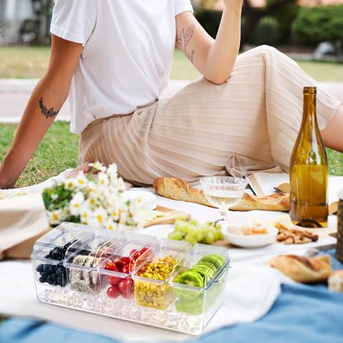 Chilled Garnish Tray with 5 Small Removable Containers and Compartments | Ice Chilled Condiment Organizer Server, Clear Garnish Serving Platter for Fruit, Salad, Food, Outdoor Events, Picnics - size: 1 Pack