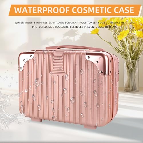 14inch Hard Shell Cosmetic Organizer Travel Train Hand Luggage Small Portable Carrying Suitcase Makeup Case Bag for Women Toiletry - color: PINK
