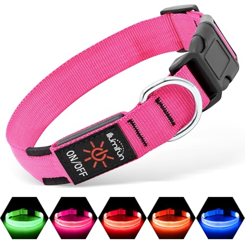 Illumifun Rechargeable LED Dog Collar, Waterproof Light Up Dog Collars Glow in the Dark, Adjustable Safety Collar Light for Dogs Walking Camping (Pink, Medium) - color: Pink, size: Medium